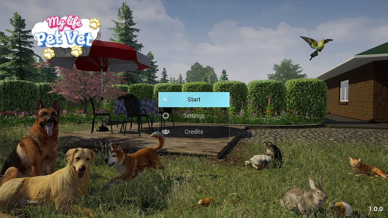 My Life Farm Vet PS5