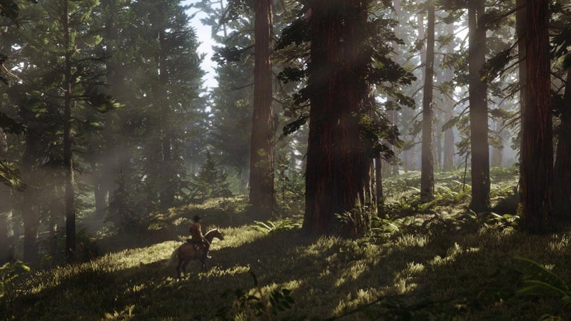 Red Dead Redemption 2 PS4 pelikuva 3